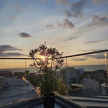 Tomis' Dreams Köstence