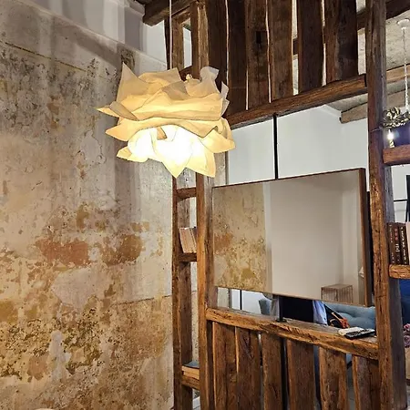 Tomis' Dreams Констанца